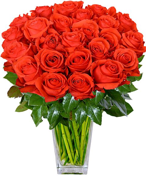 Acquista Online Il Mazzo Di Rose Rosse Per Esprimere Il Tuo Amore Clorofilla Consegna A Domicilio