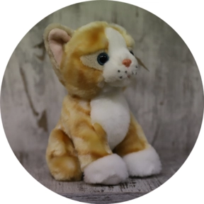 Peluche Gatto beige