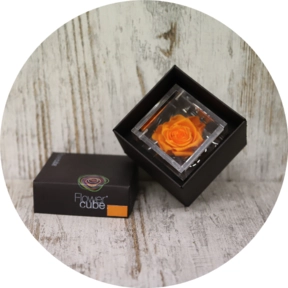 Flower Cube con rosa arancio 