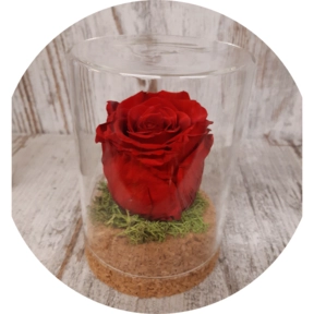 Rosa stabilizzata  Vaso in vetro diametro 8cm