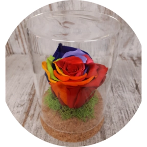 Rosa stabilizzata  Vaso vetro diametro 8 cm