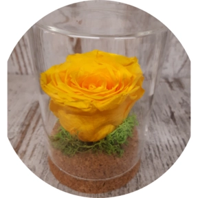 Rosa stabilizzata  Vasetto in vetro diametro 8 cm